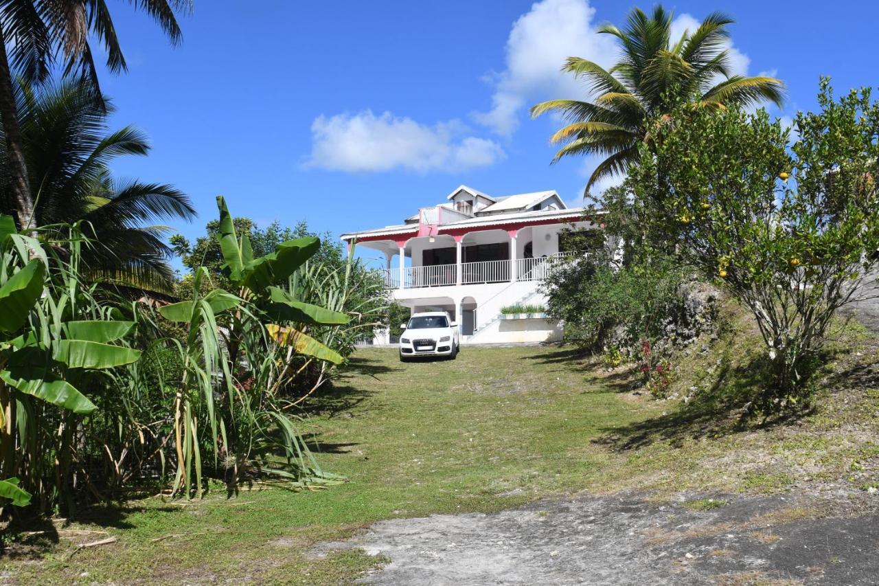 Chez Tatie-Clo Devient Gray Coconut Cake Villa Le Moule Eksteriør billede